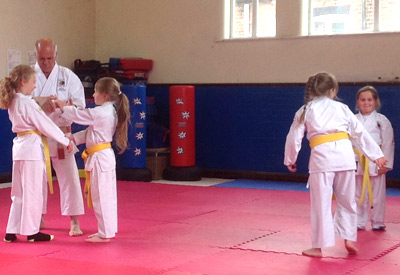 Kids Ju-Jitsu Lessons
