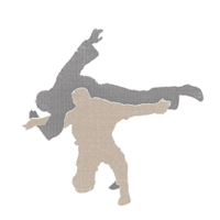 Martial Arts Biddulph Logo